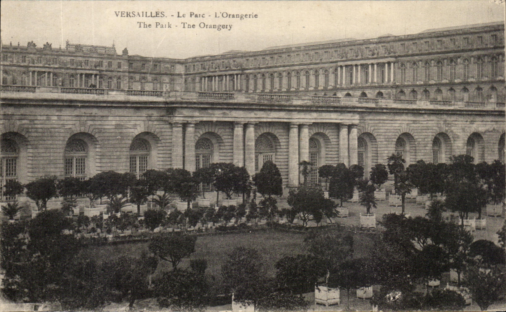 CPA Versailles Le Parc L'Orangerie 