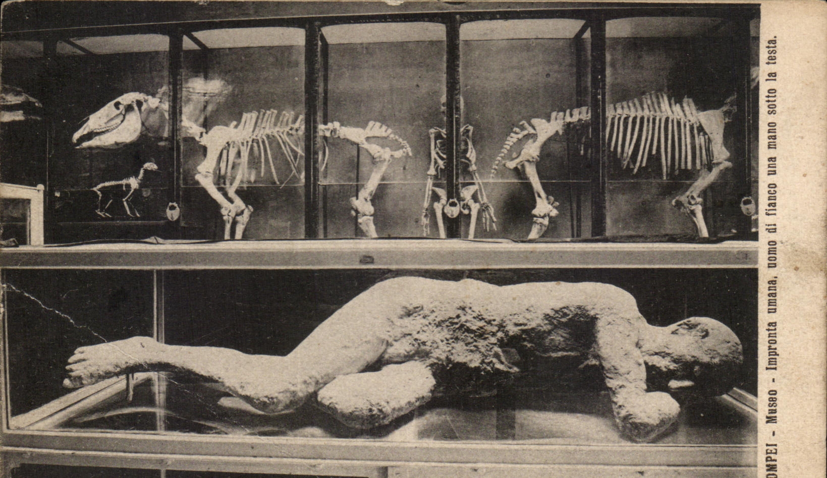 CPA Dupei Museo Impronte Umana Uomo Di Fianco los E E U U Mano Sotto lo probo