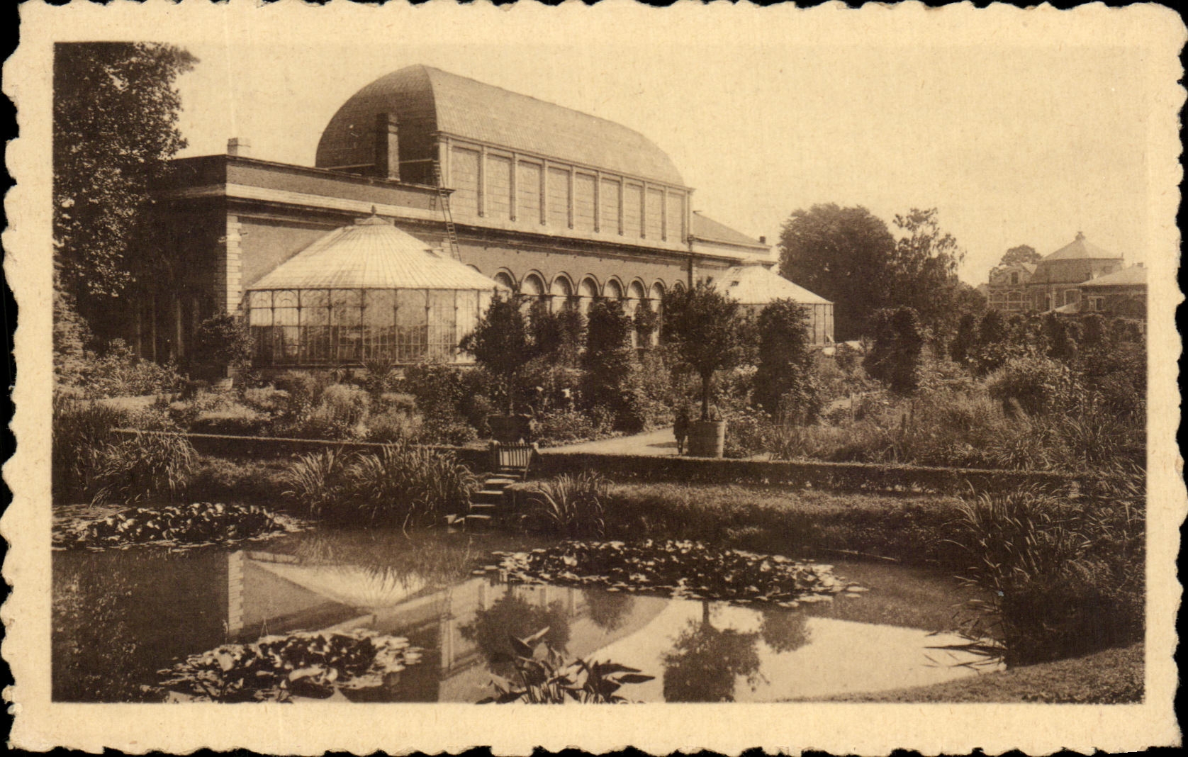 CPA Leuwen Botainique Garden