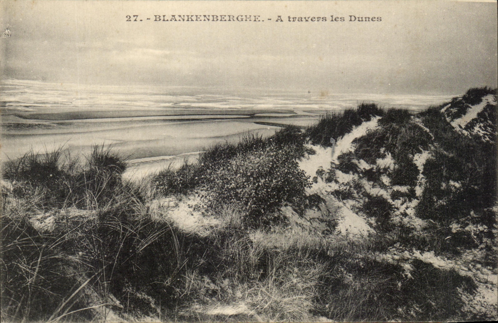 CPA Blankenberghe Through the Dunes