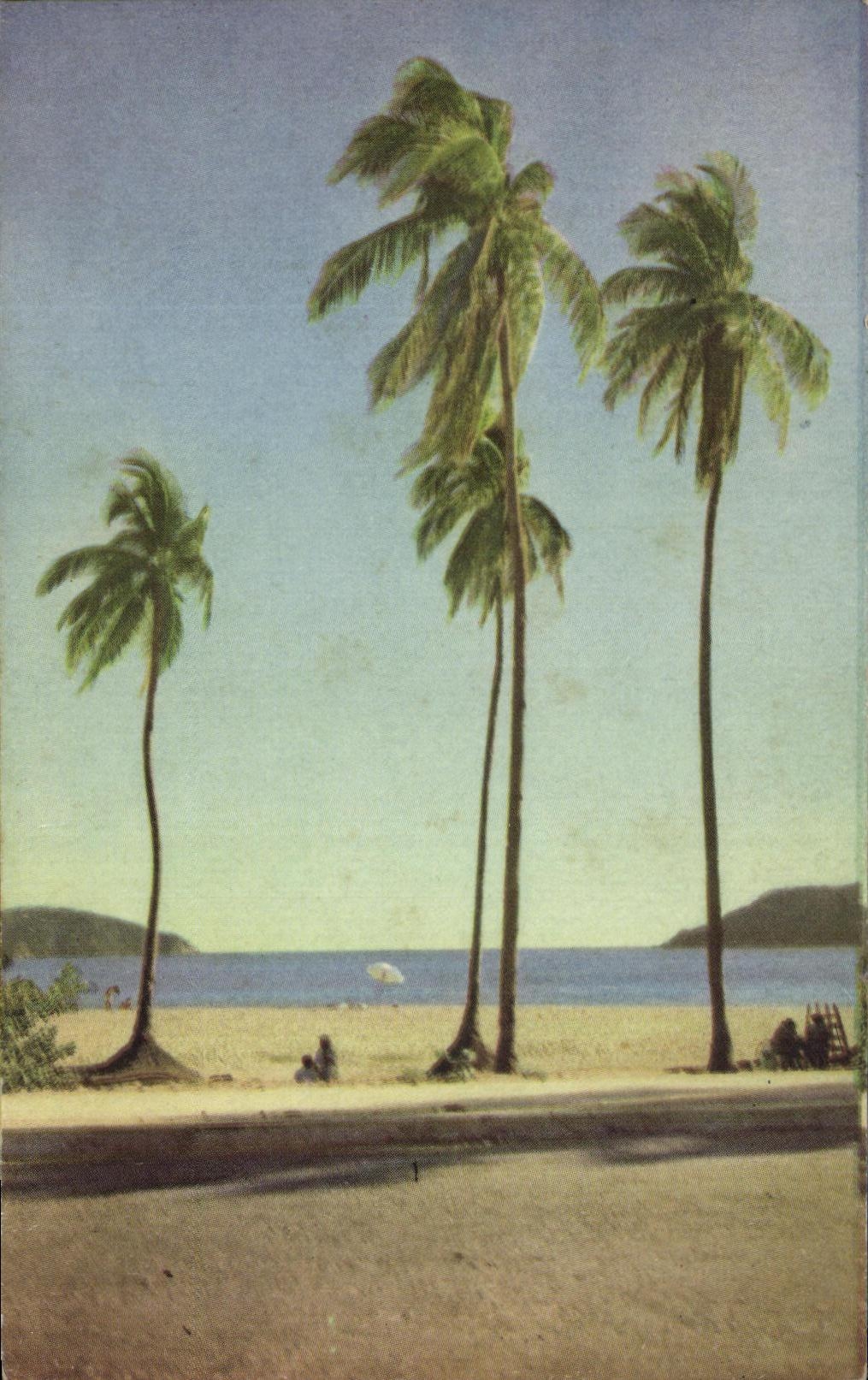 CPA Color Natural Los Hornds Acapulco