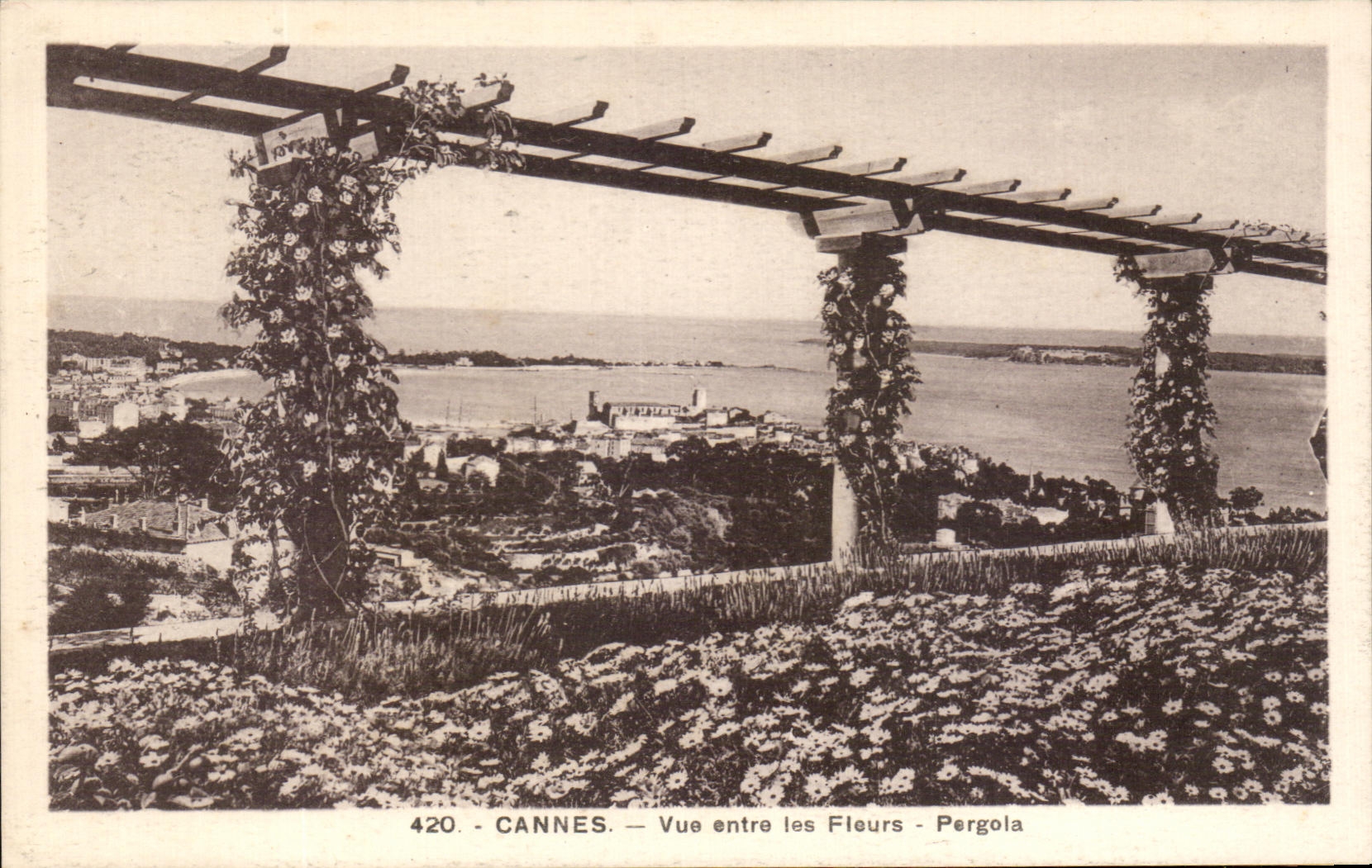 CPA Cannes Seen between the Flowers Pergola