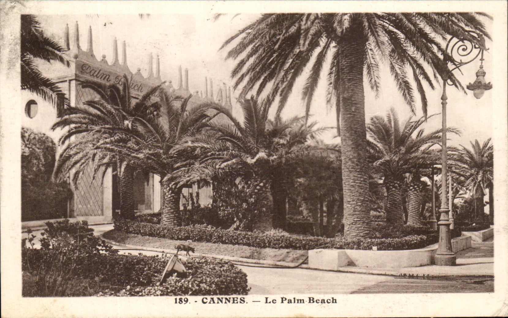 CPA Cannes Paim Beach