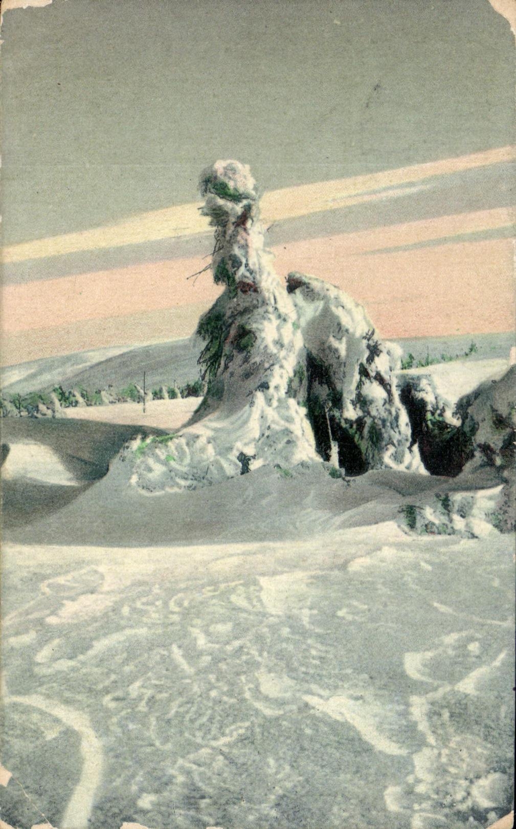 arbol de CPA debajo de la nieve