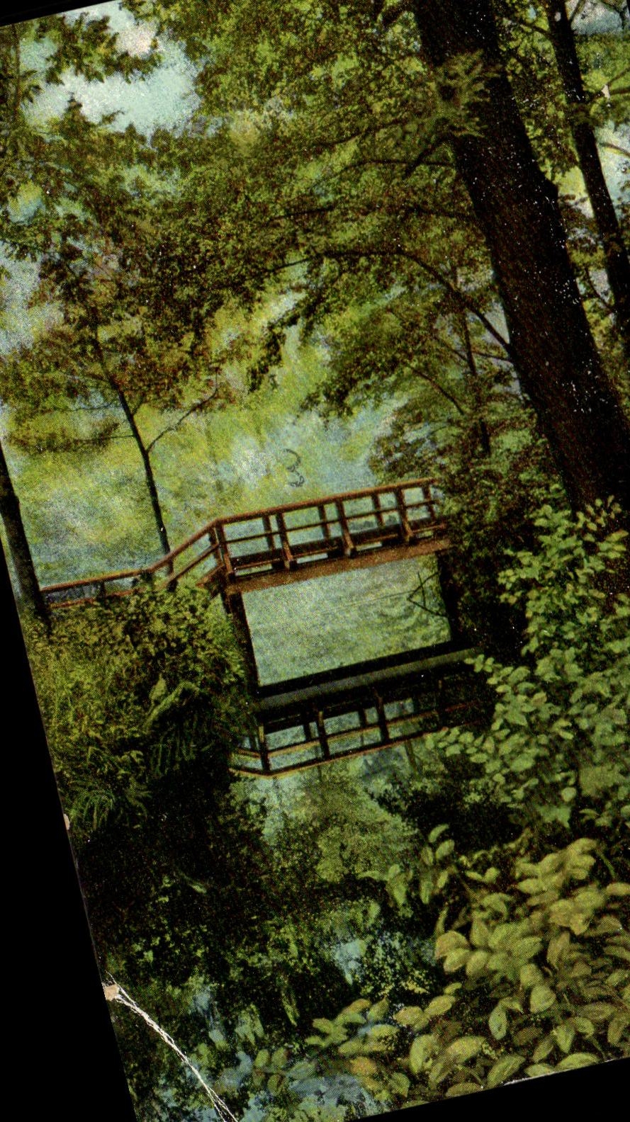 CPA Pont dans la foret