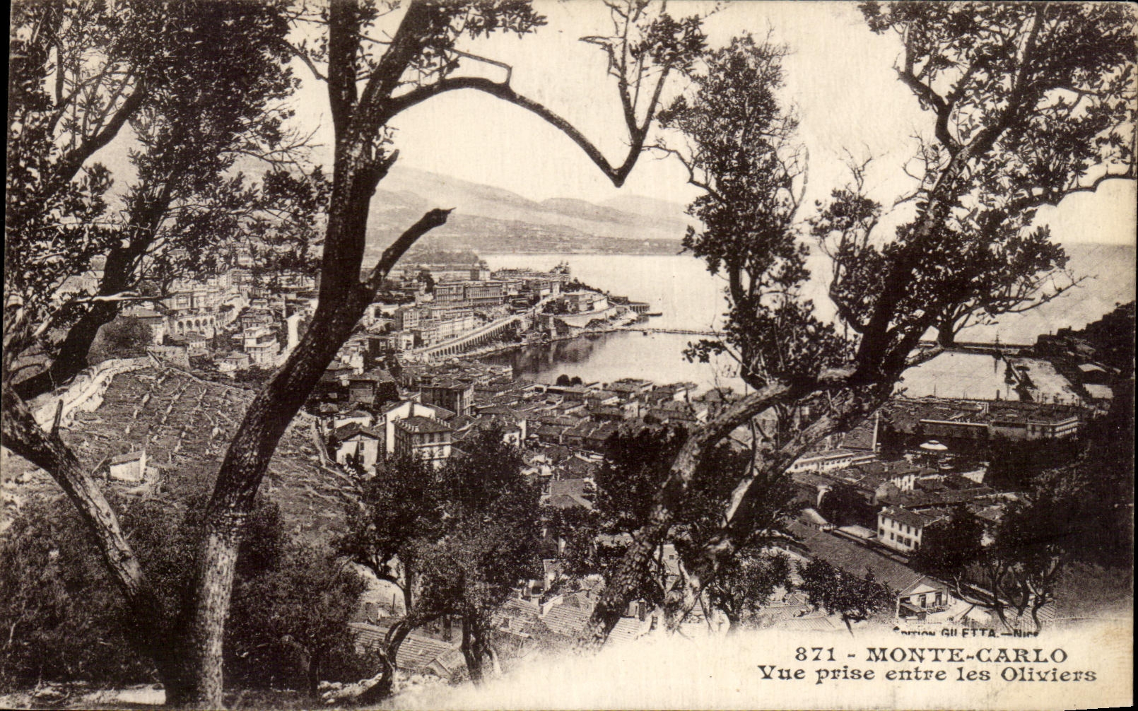 CPA Monte Carlo Vue prise entre les Oliviers
