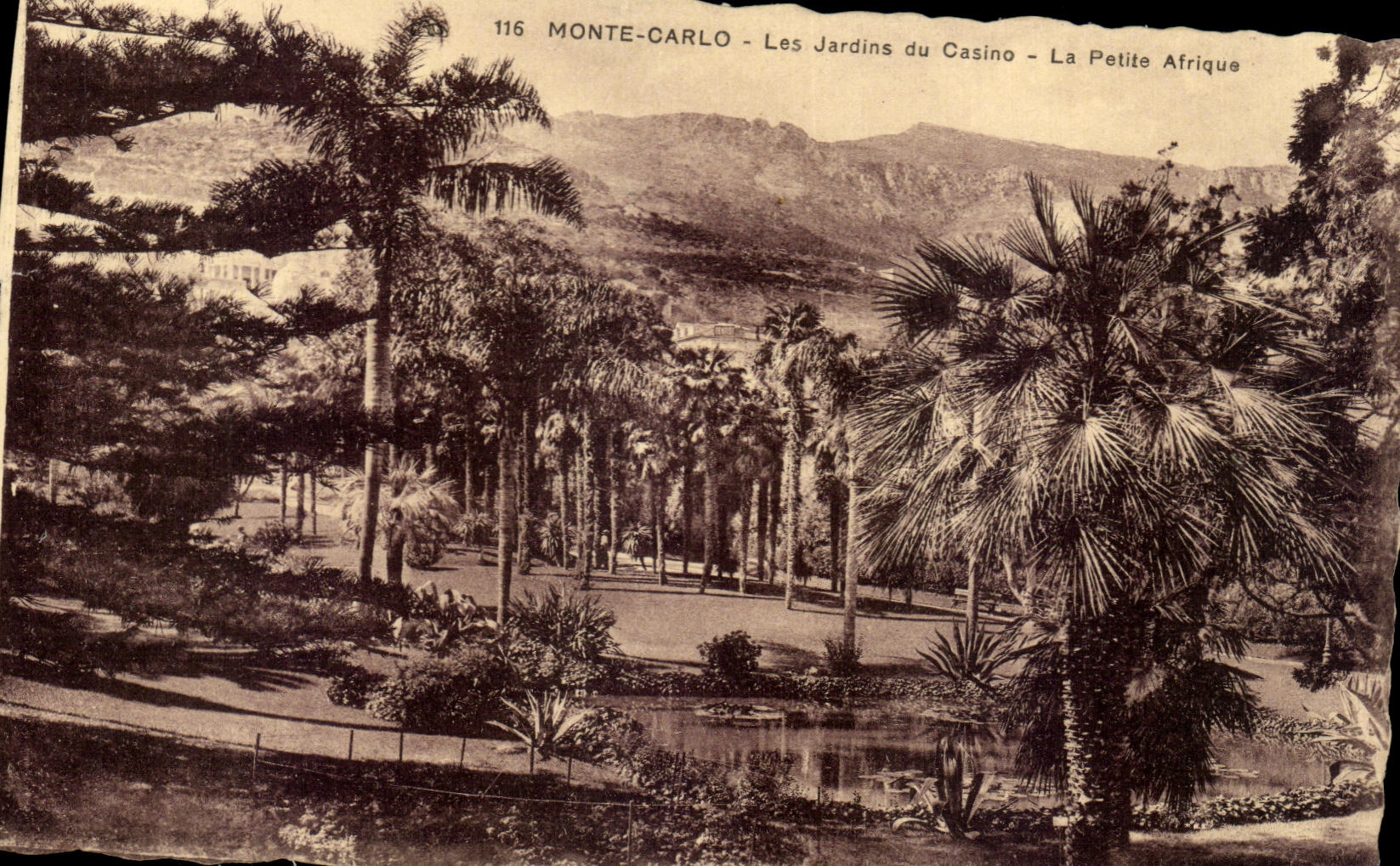 CPA Mont Carlo Les Jardins du Casino La Petite Afrique