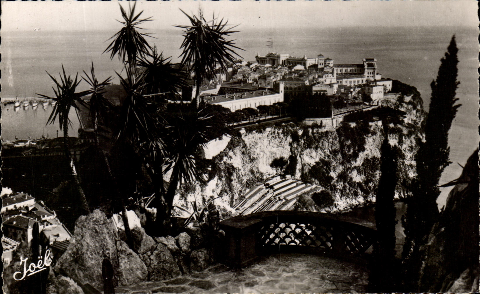 CPA Monaco Vu du jardin exotique