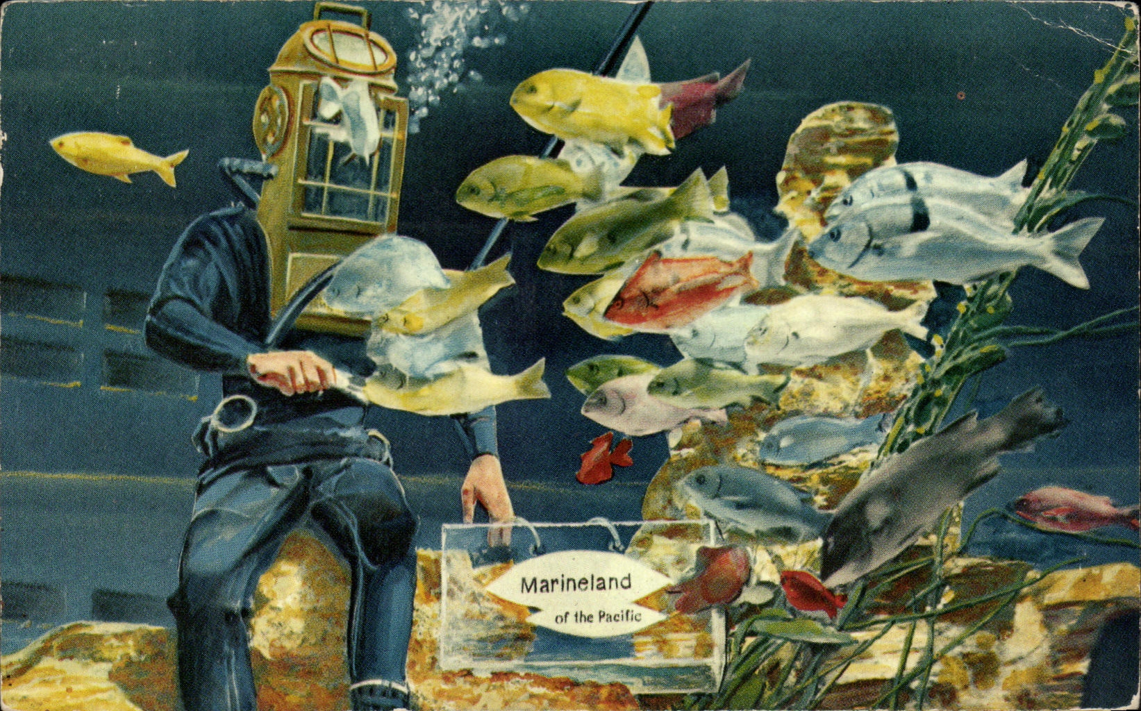 CPA Marineland Of The Pacific Aquarium