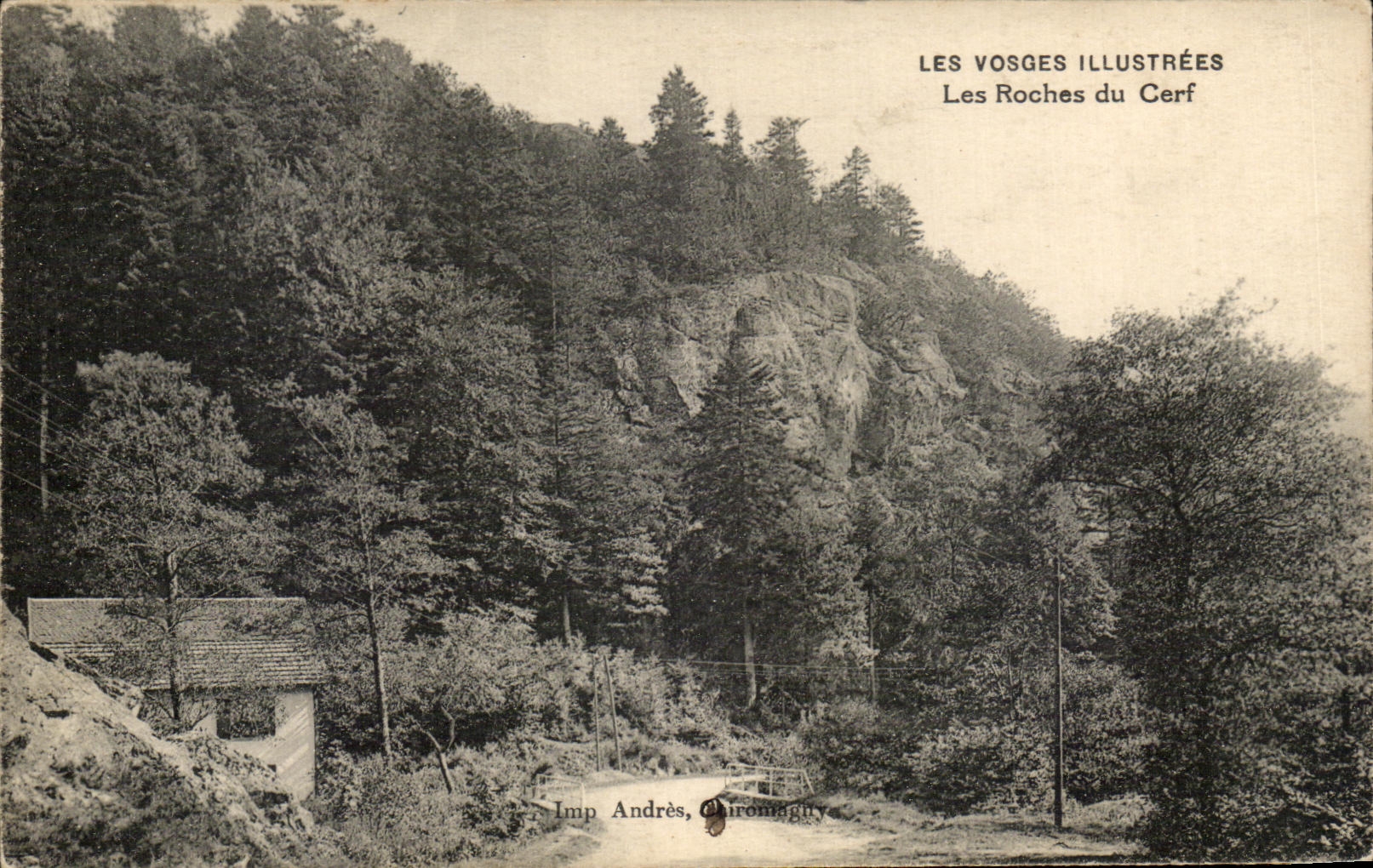 CPA Les Vosges Illustrees Les Roches Du Cerf