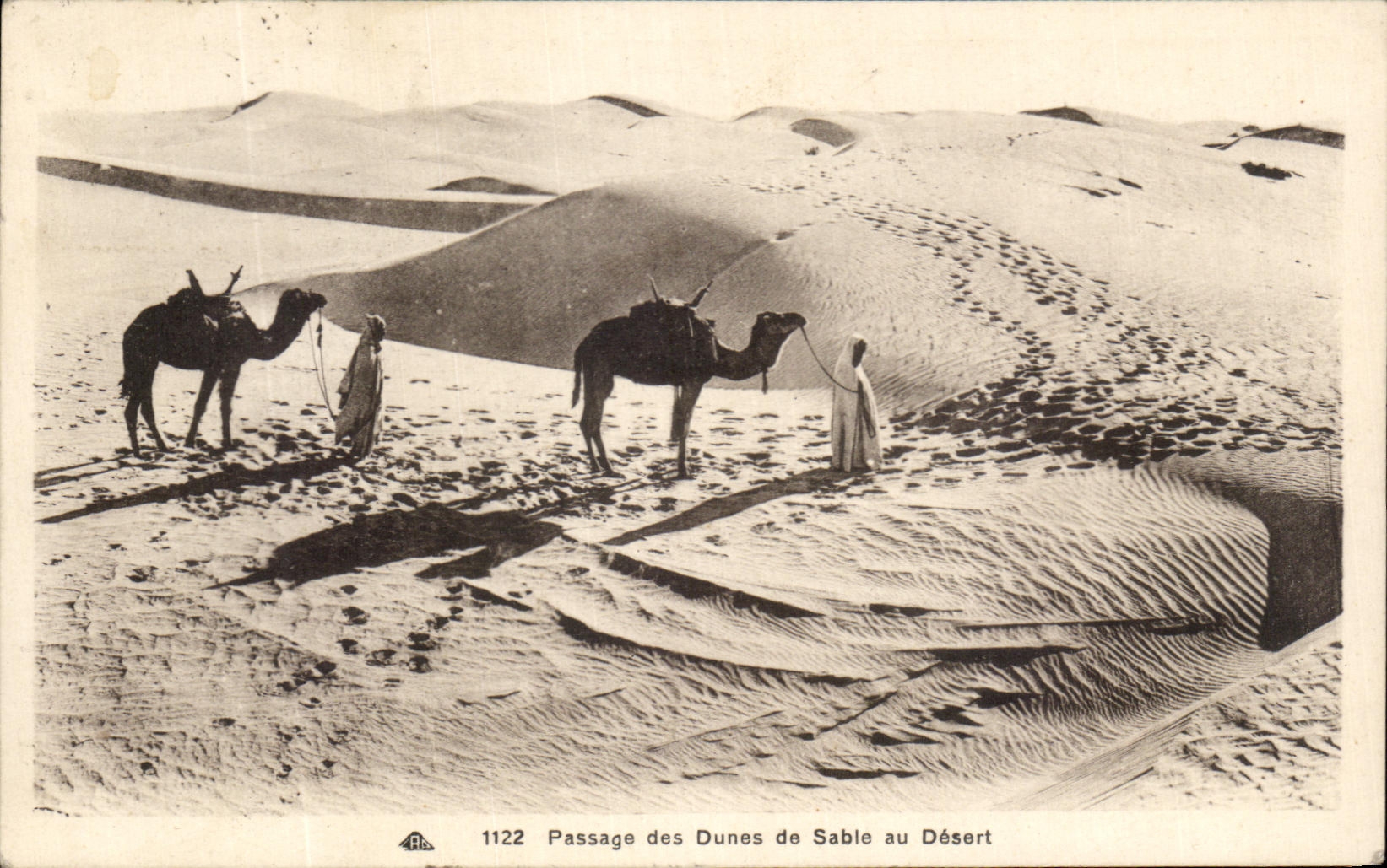 Paso de CPA de las dunas de arena con los camellos de los servicios