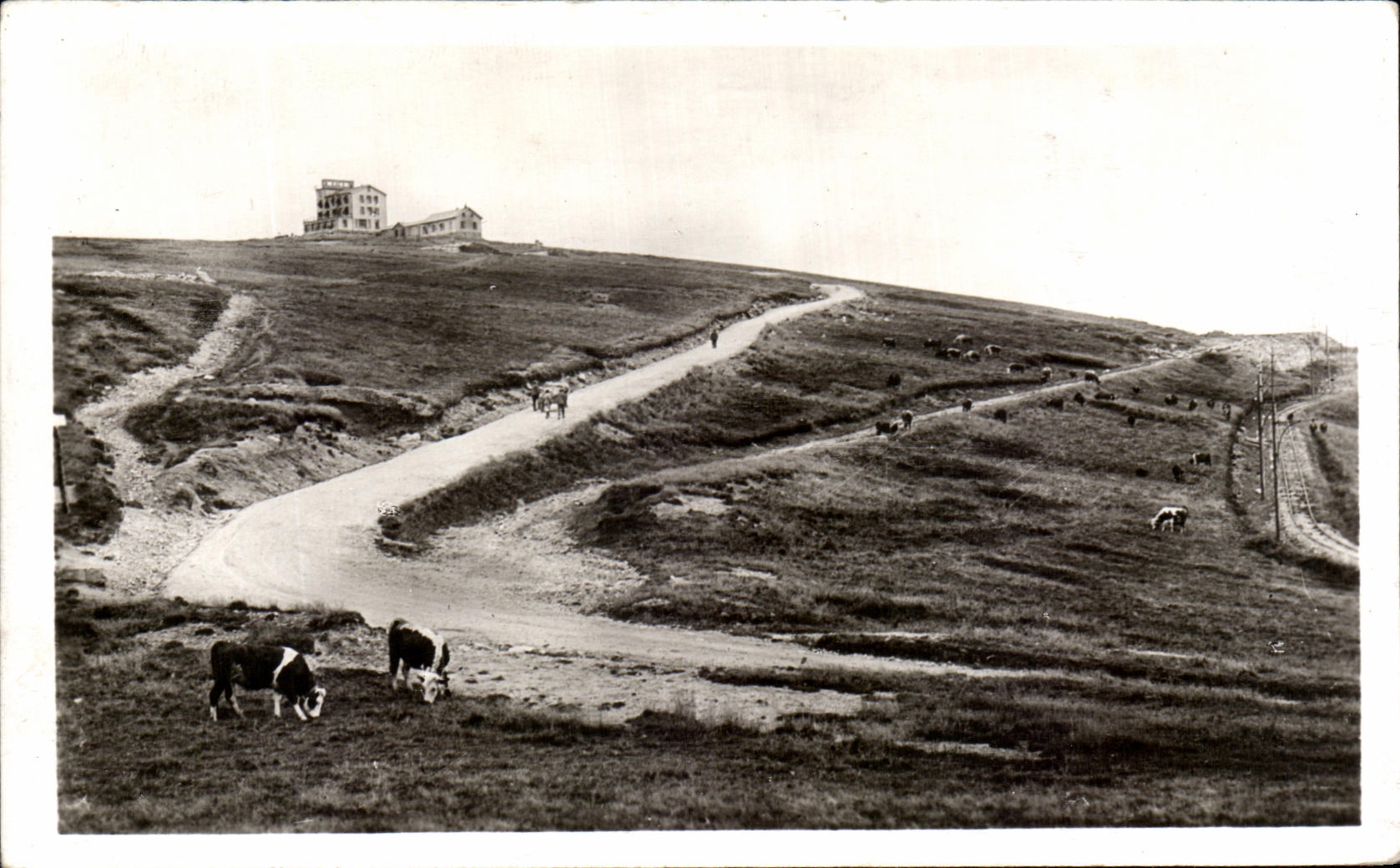 CPA Hohneck Seen Of the Road Of the Peaks