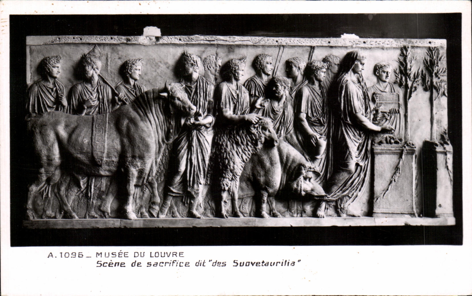 CPA Museum Of Louvre Scene of Sacrifice known as of Suavetaurilia