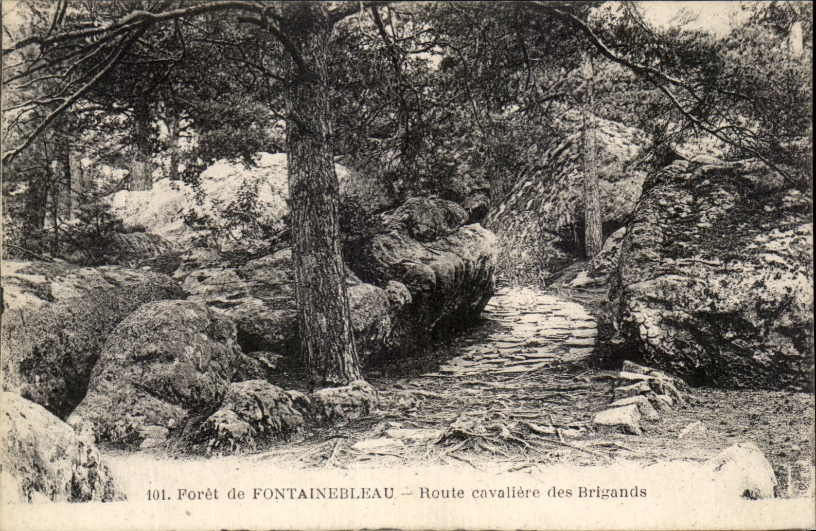 CPA Drill of Fontainebleau Road cavaliere of the Brigands