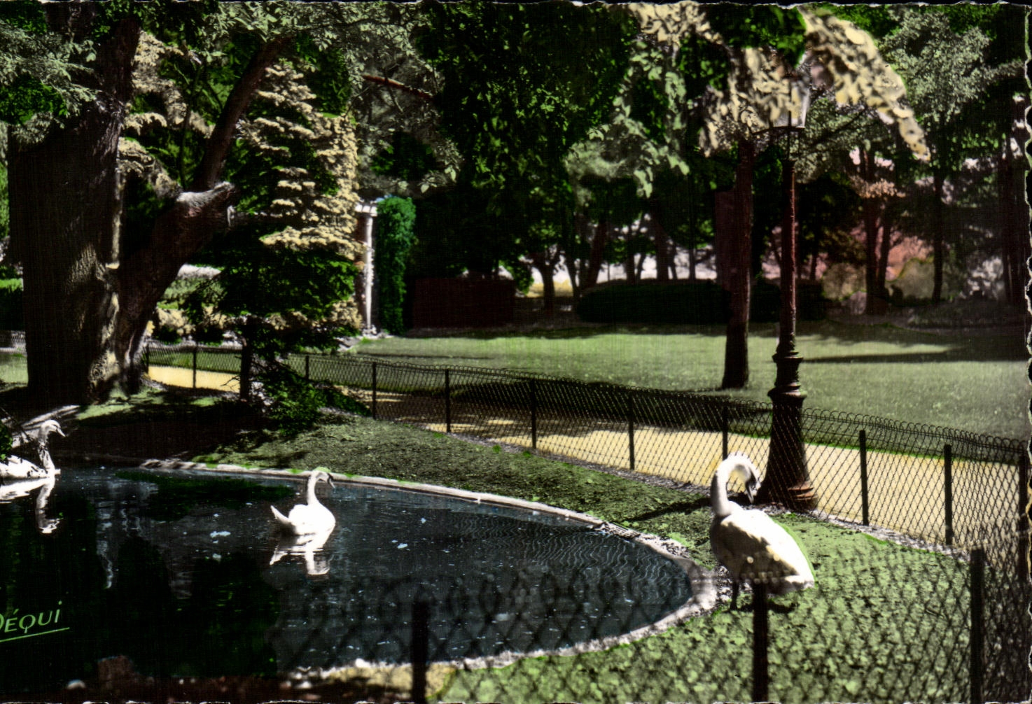 CPA Besancon Les Bains Promenade Micaud Les cygnes 
