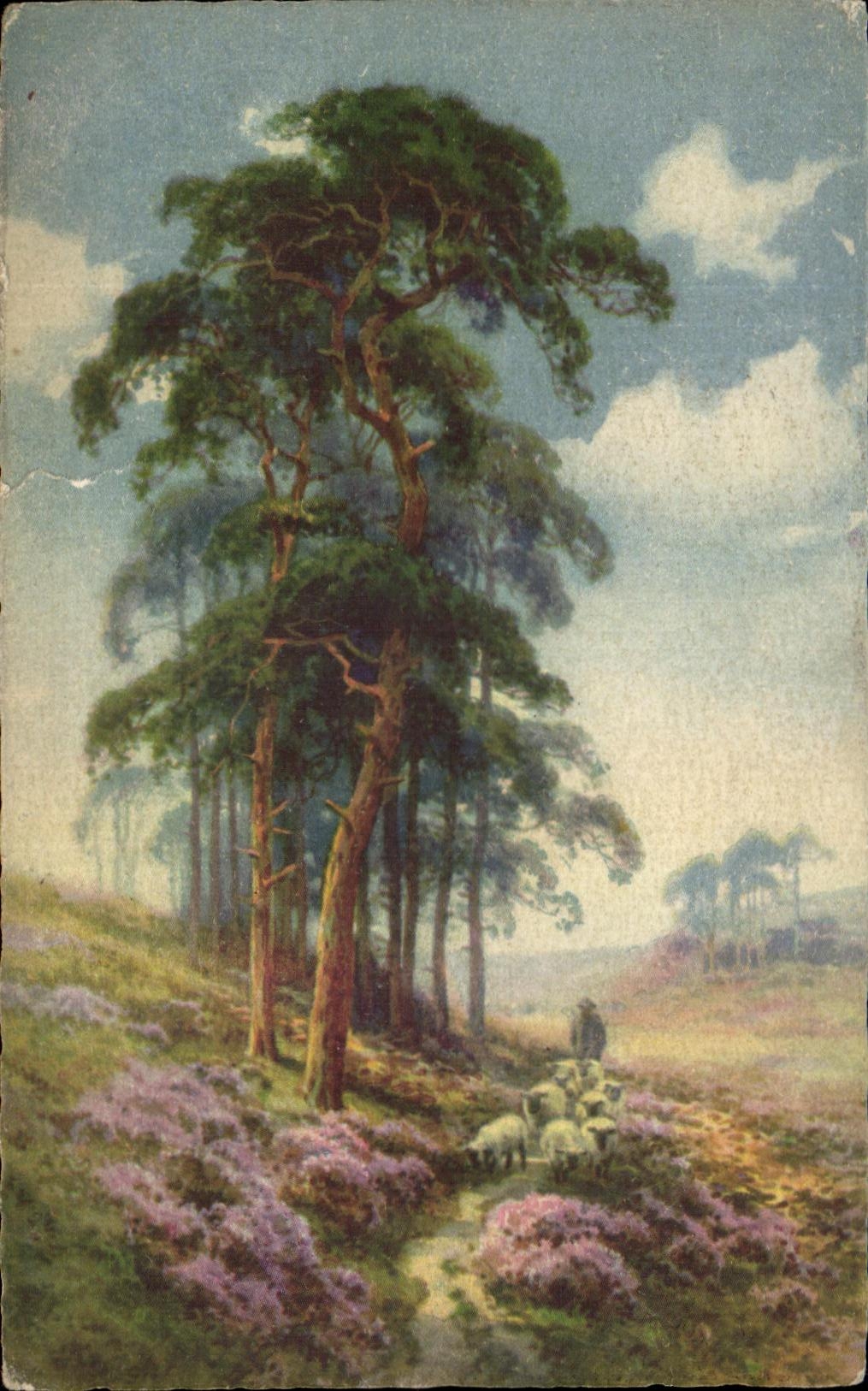 CPA Landscape Sheep Shepherd