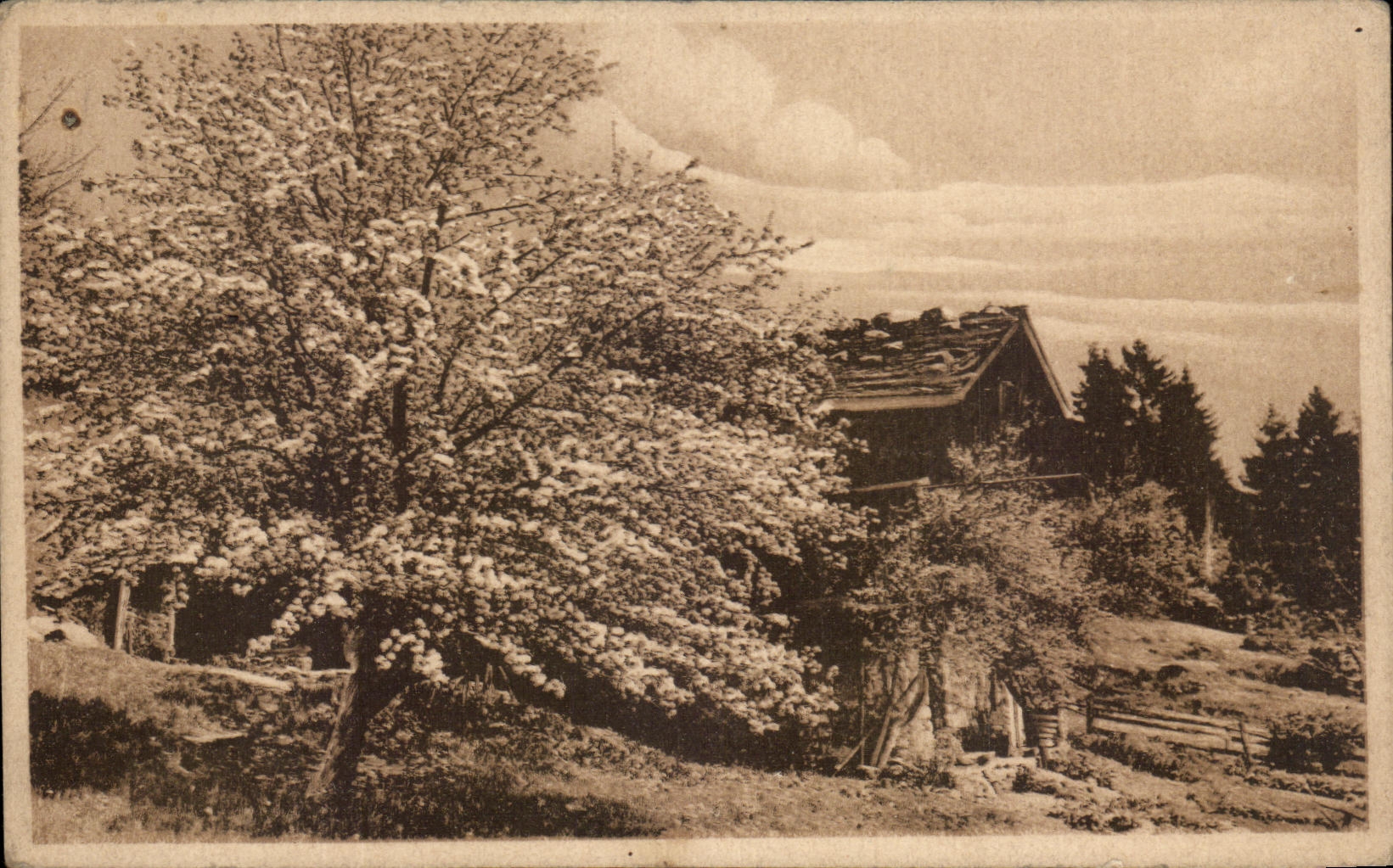 arbol de la casa del paisaje de CPA