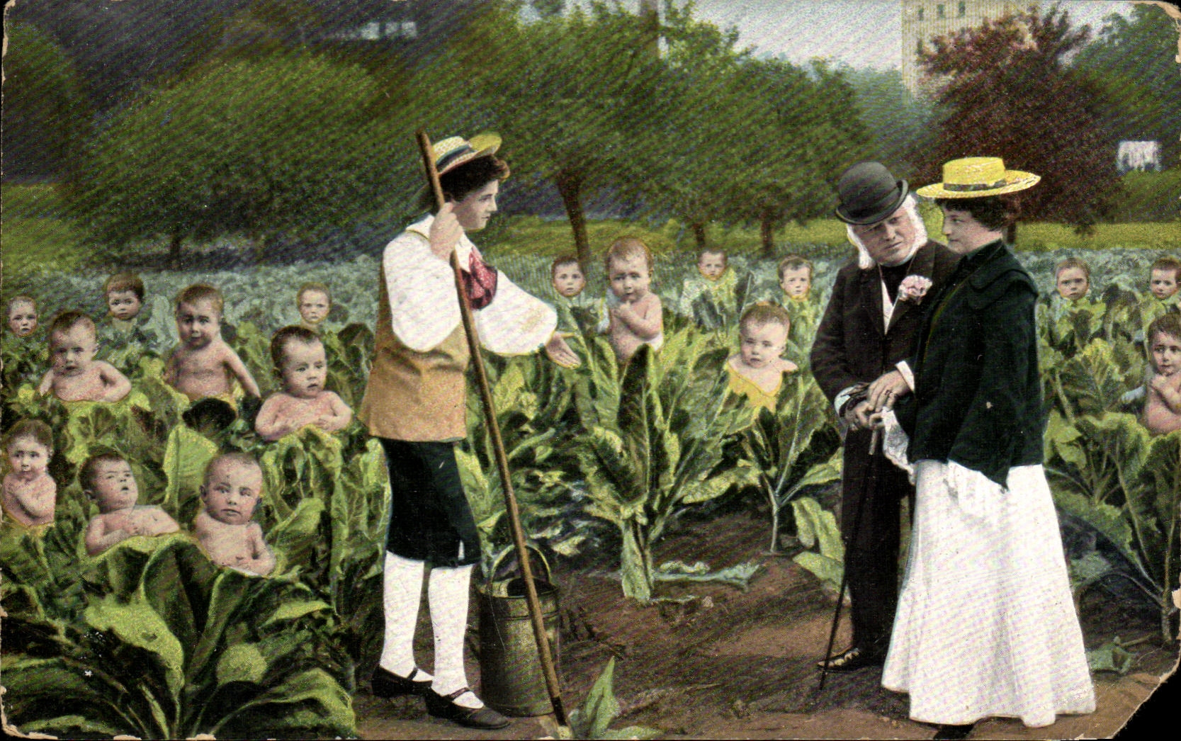 CPA Children in cabbages