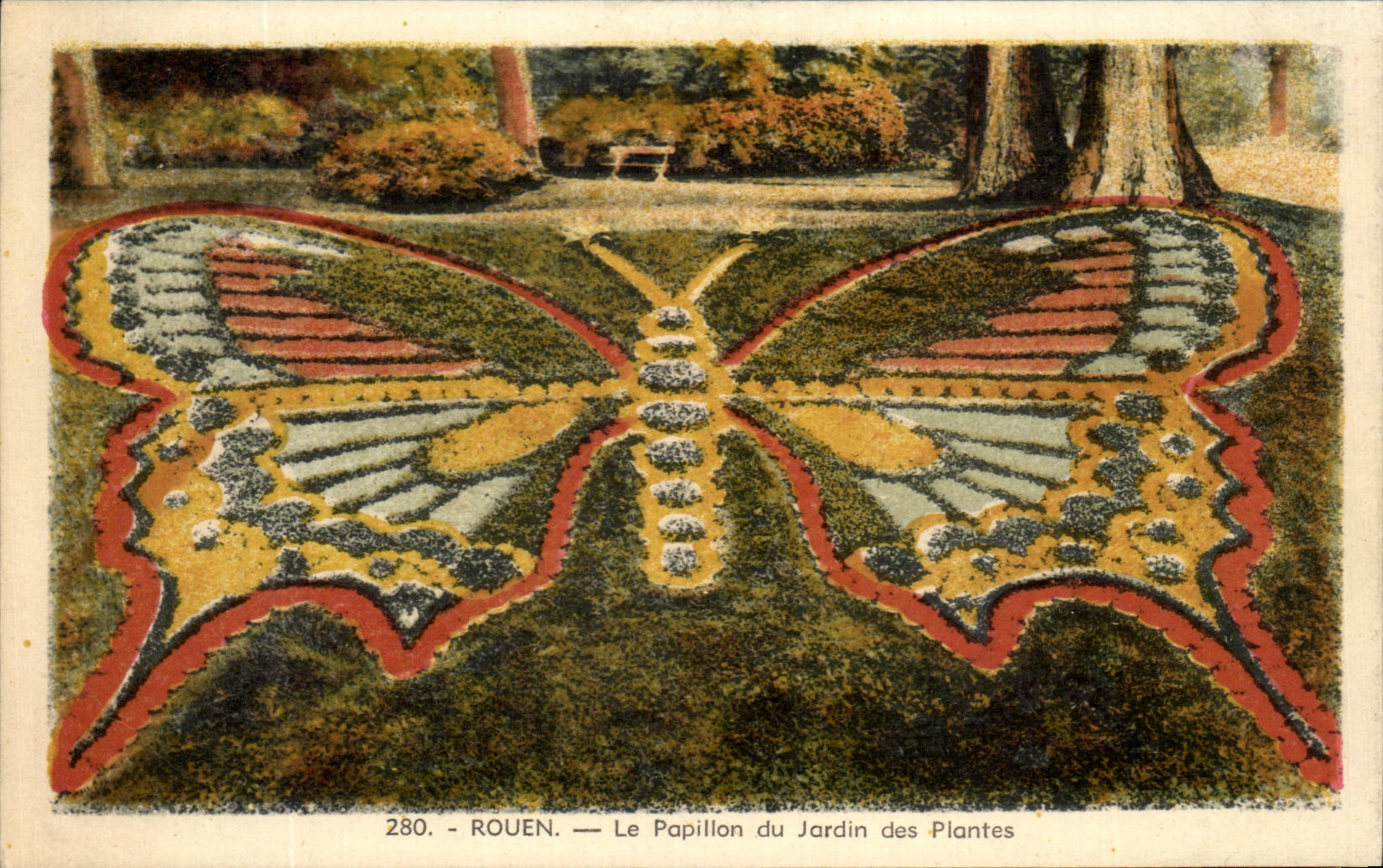 CPA Rouen the Butterfly of the Botanical garden