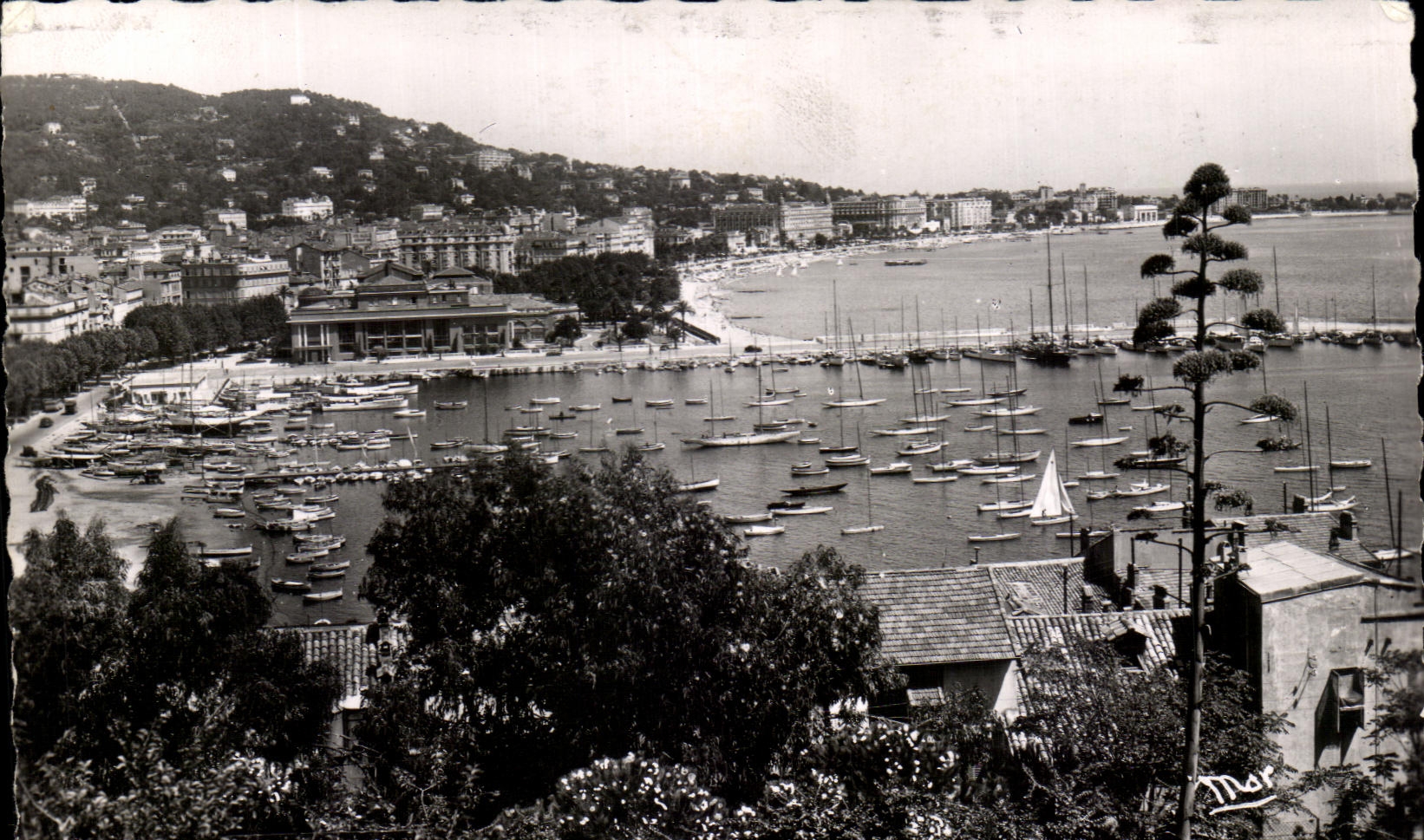 CPSM Cannes the Port