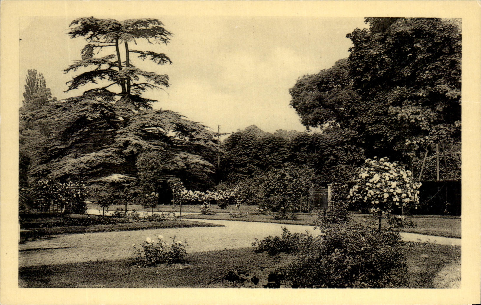 CPA Castle Of Malmaison Rosery And Cedre the Marengo one
