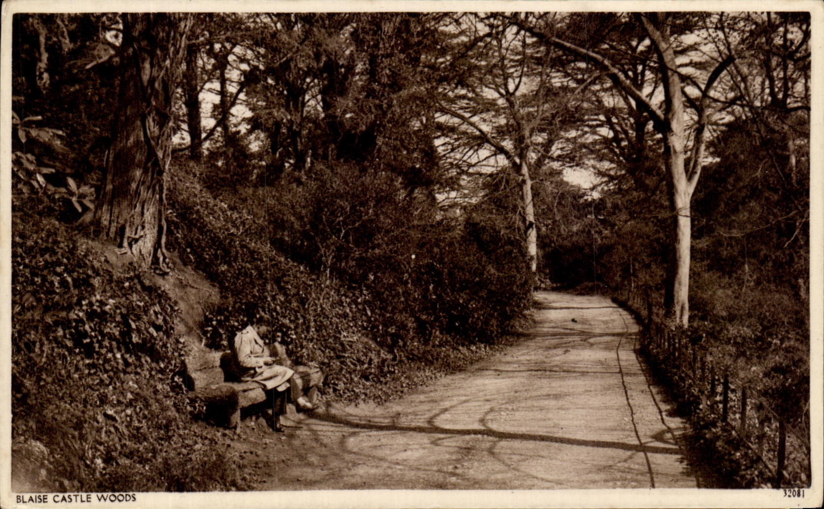 CPA Blaise Castle Woods