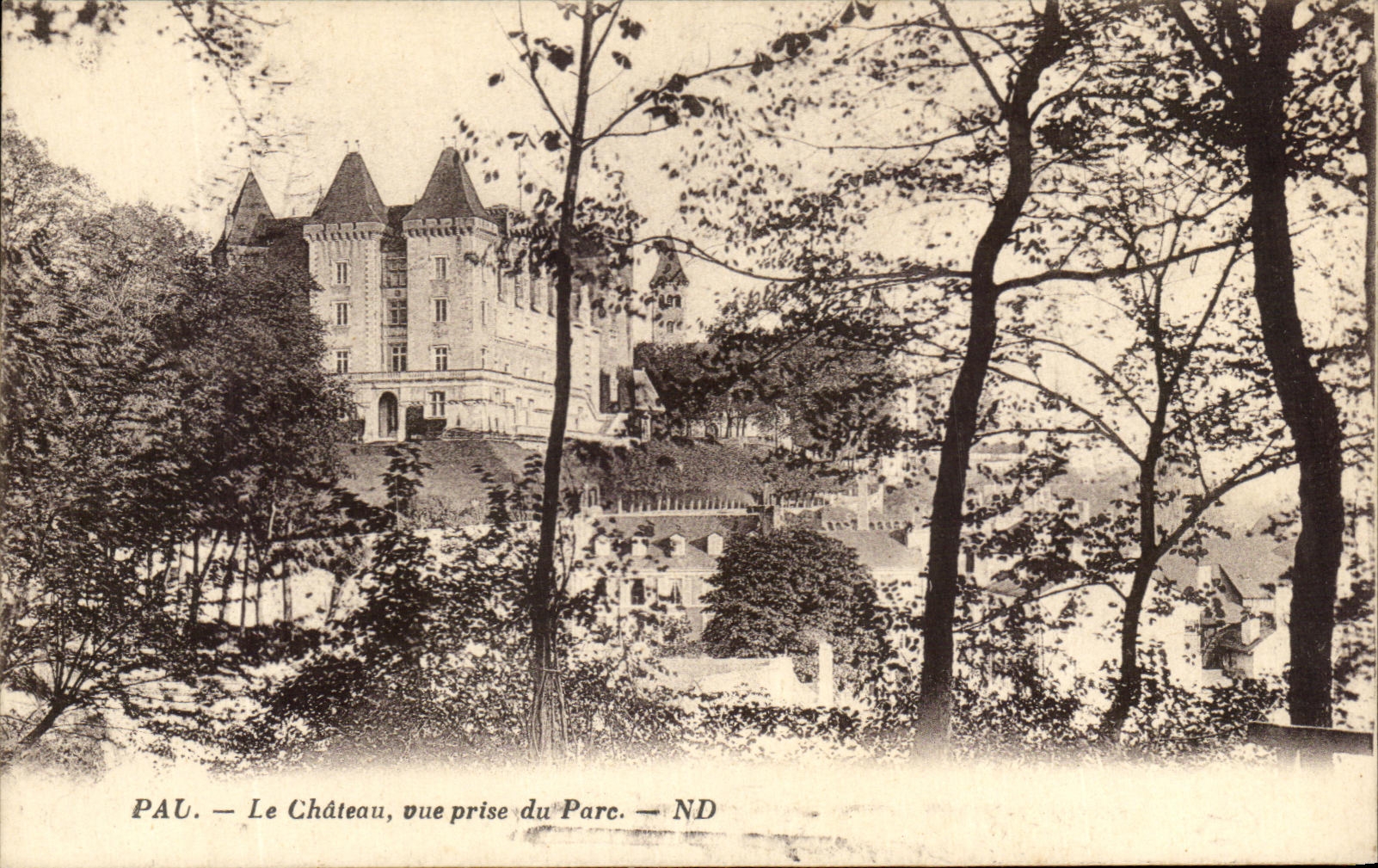 CPA Pau the Castle Seen from of the Park