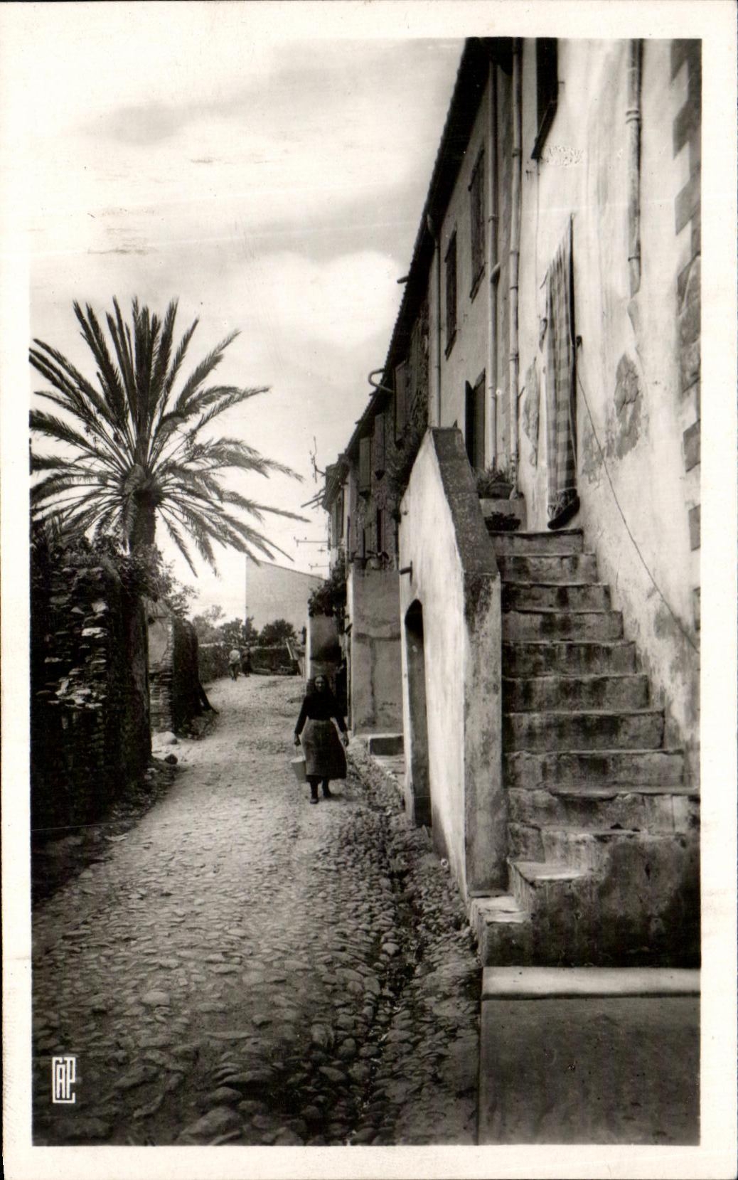 CPA the Vermilion Dimension Collioure an Old Street Of the Suburb
