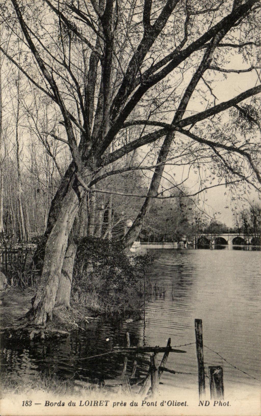 CPA Edges of Loiret close to the Bridge of Olivet