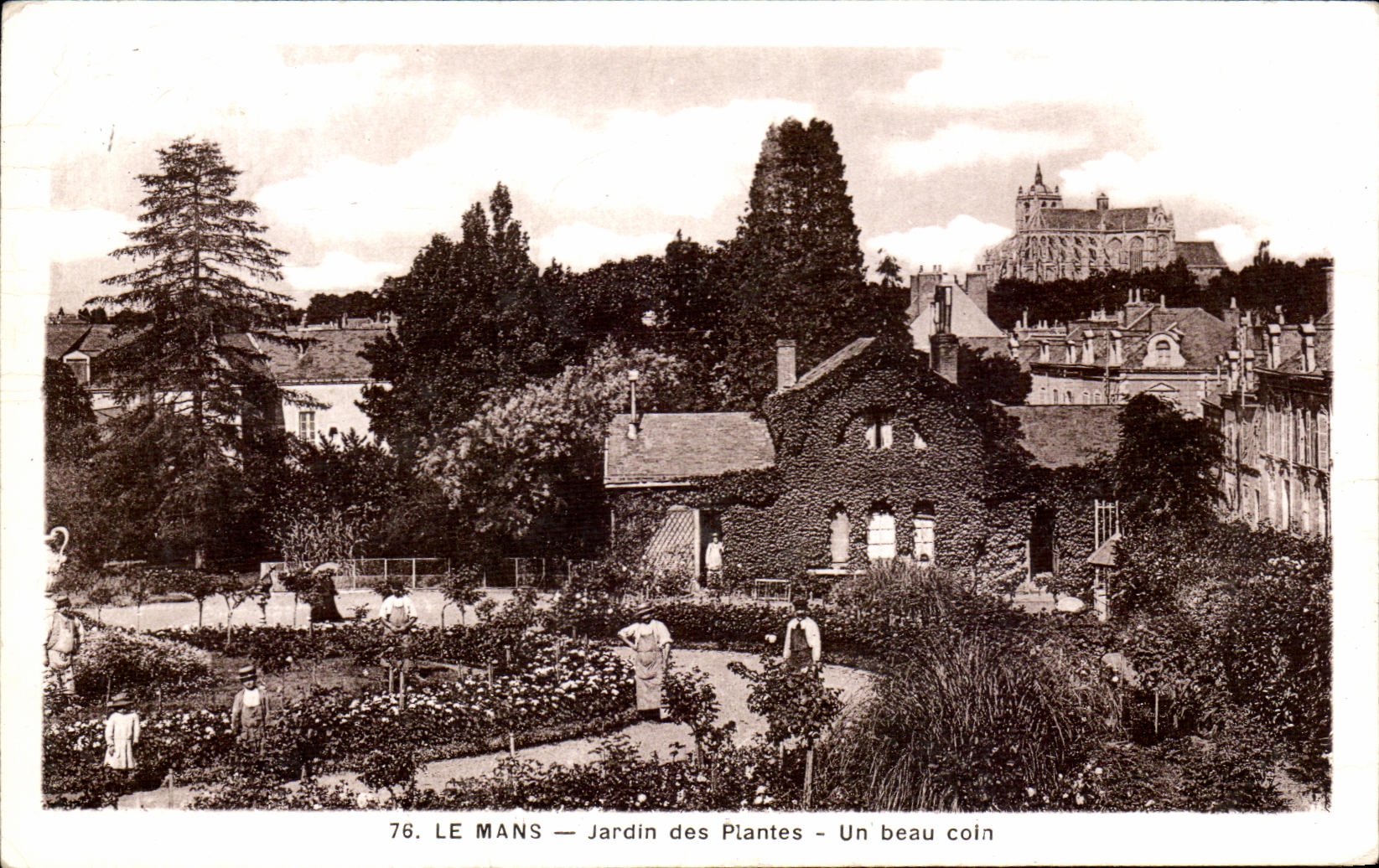 CPA Mans Garden of Piantes a beautiful corner