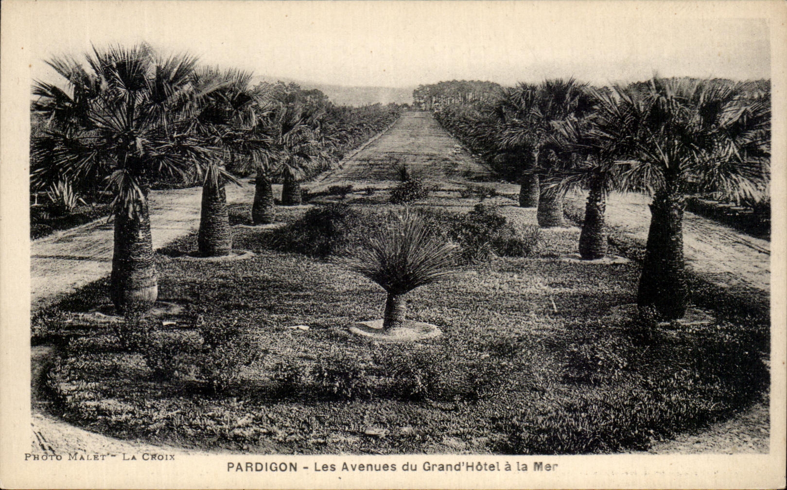 CPA Pardigon Avenues of the Large Hotel to the Sea