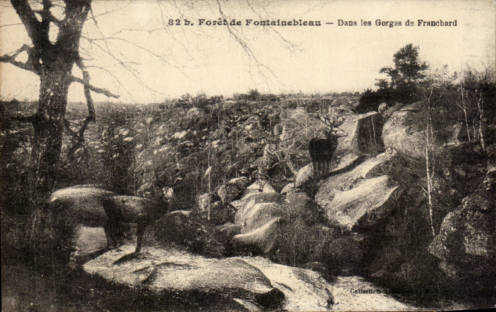 Taladro De Fontainbleau In de CPA los machos de Falls De Franchard Hinds