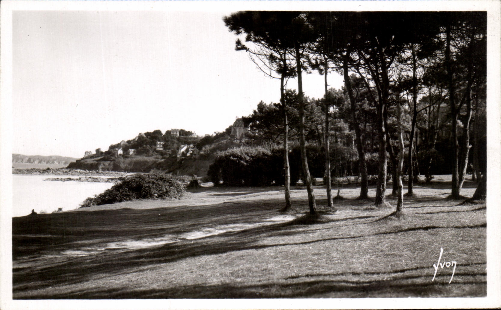 CPA Perros Guirec Fir plantation In Edge Of the Beach De Trestraou