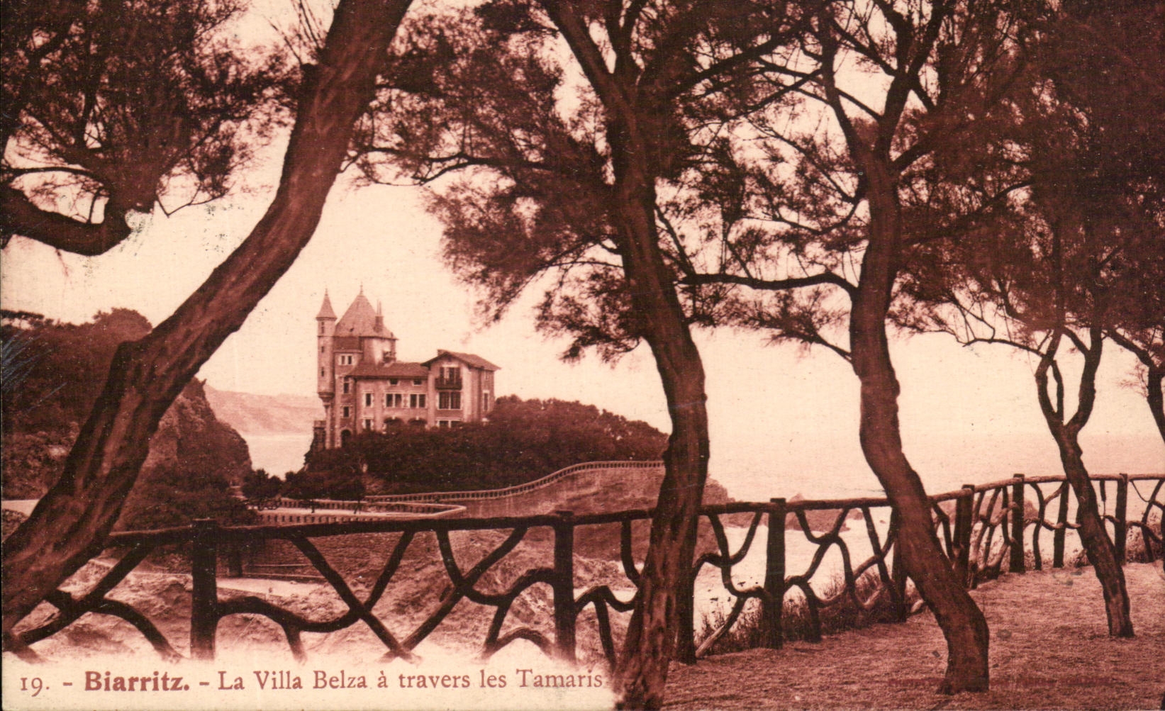 CPA Biarritz la Villa Belza a travers les Tamaris