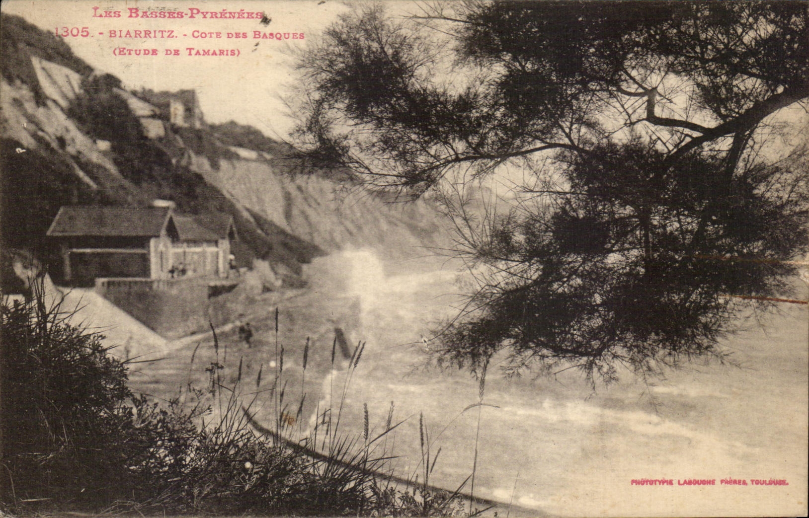 CPA Biarritz Core des basques Etude de Tamaris