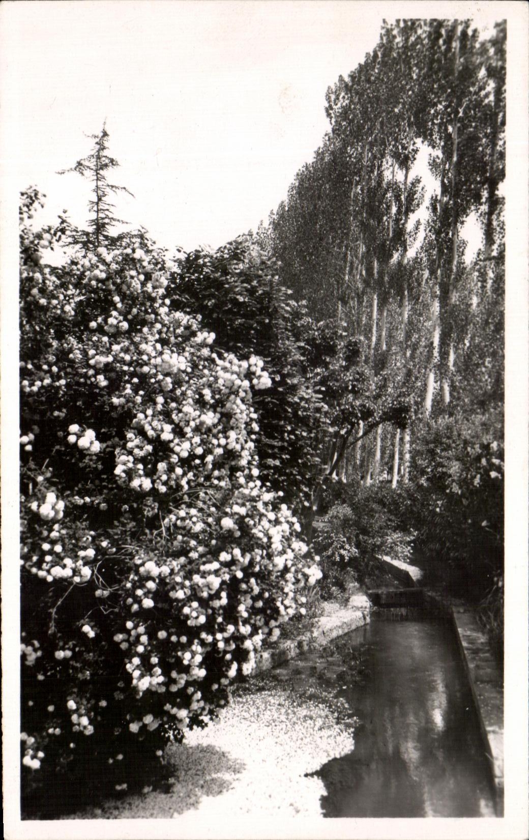 CPA Lane on Touvre a Pretty Corner