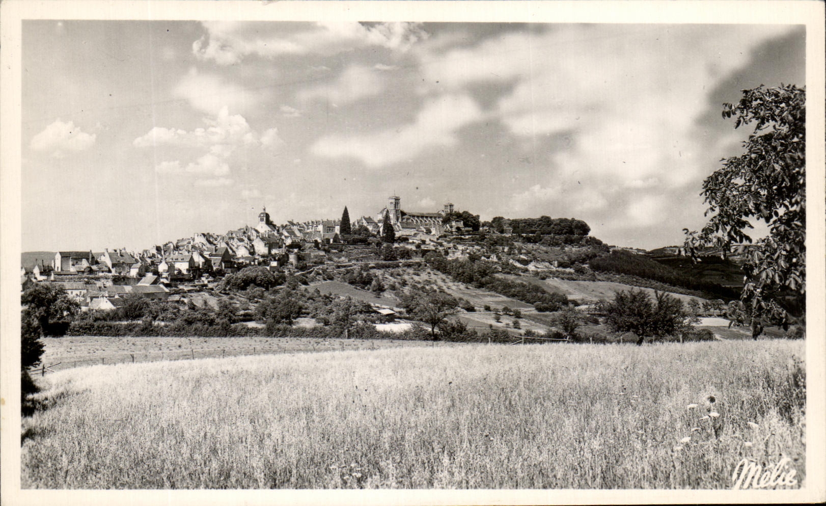 CPA Vezelay View And the Abbey church of the Madeleine