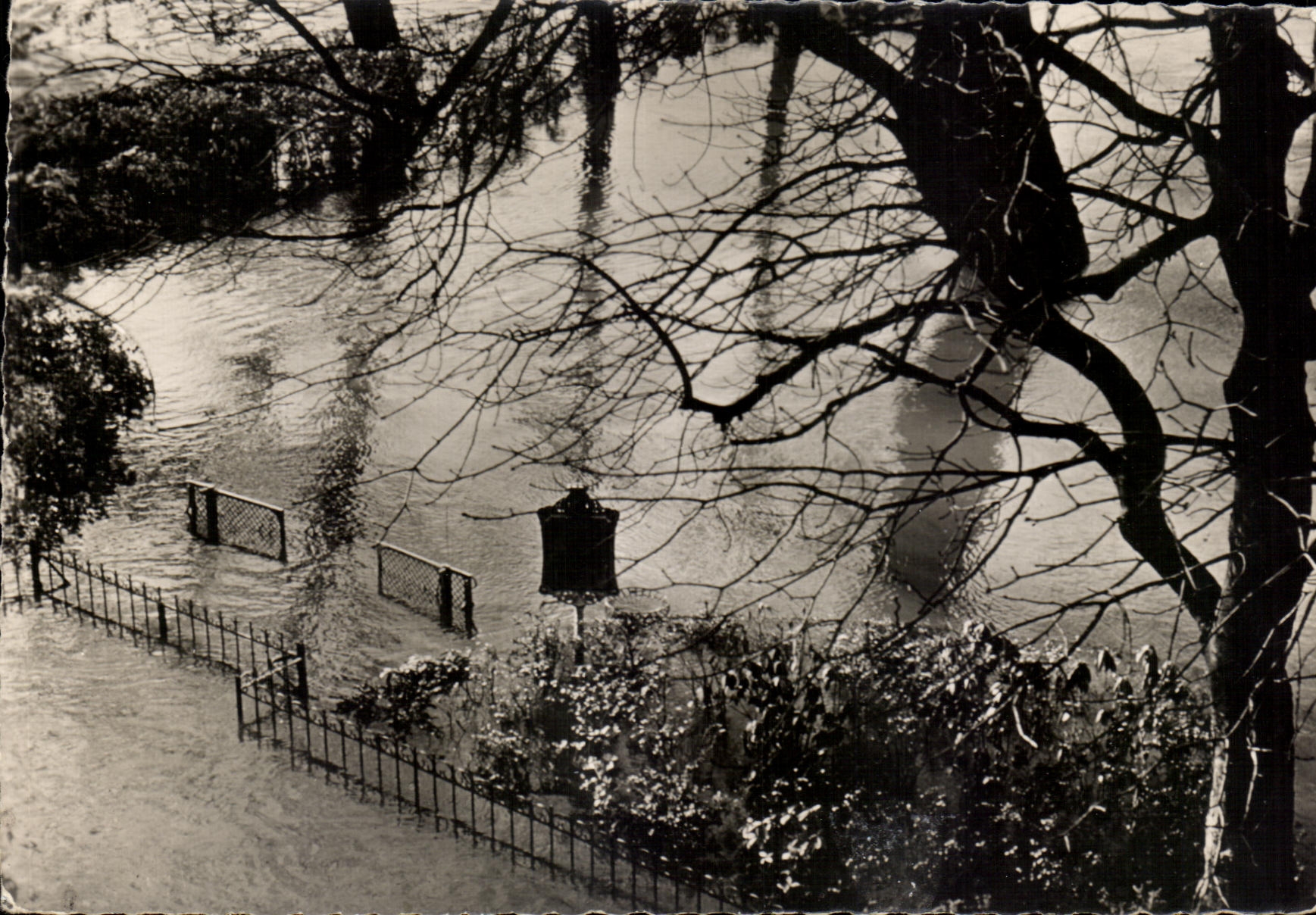 CPSM Paris Floods Paris February 1955 the public garden of the Gallant Green