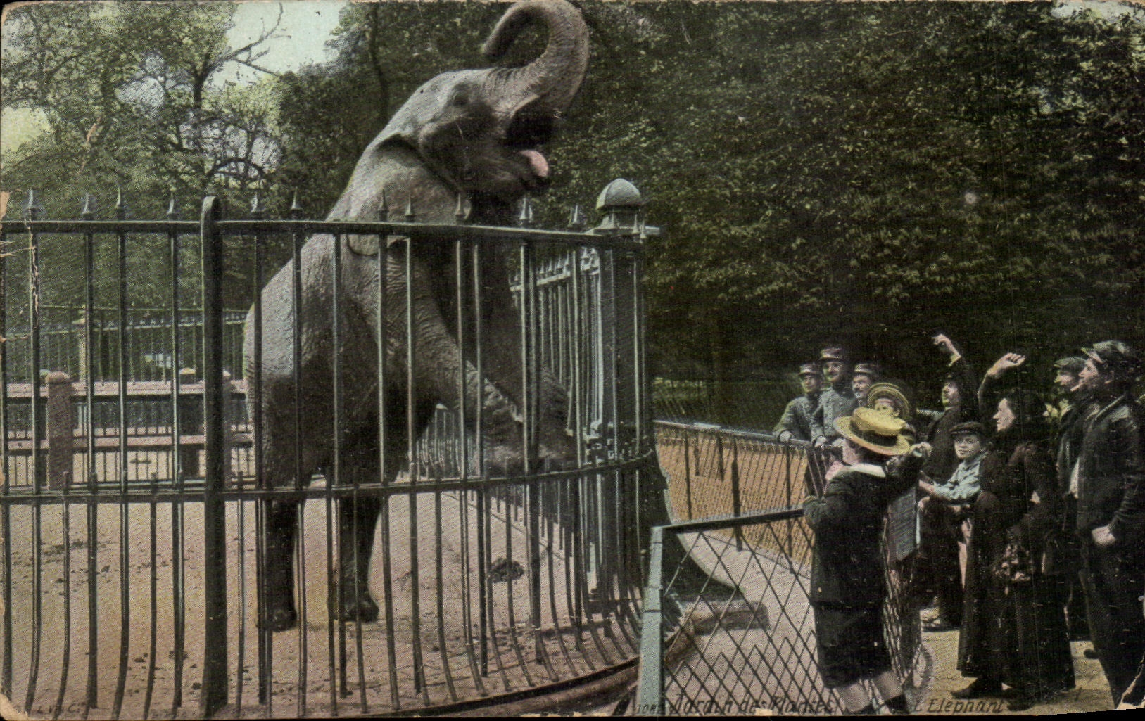 CPA Paris Elephant Paris Botanical garden