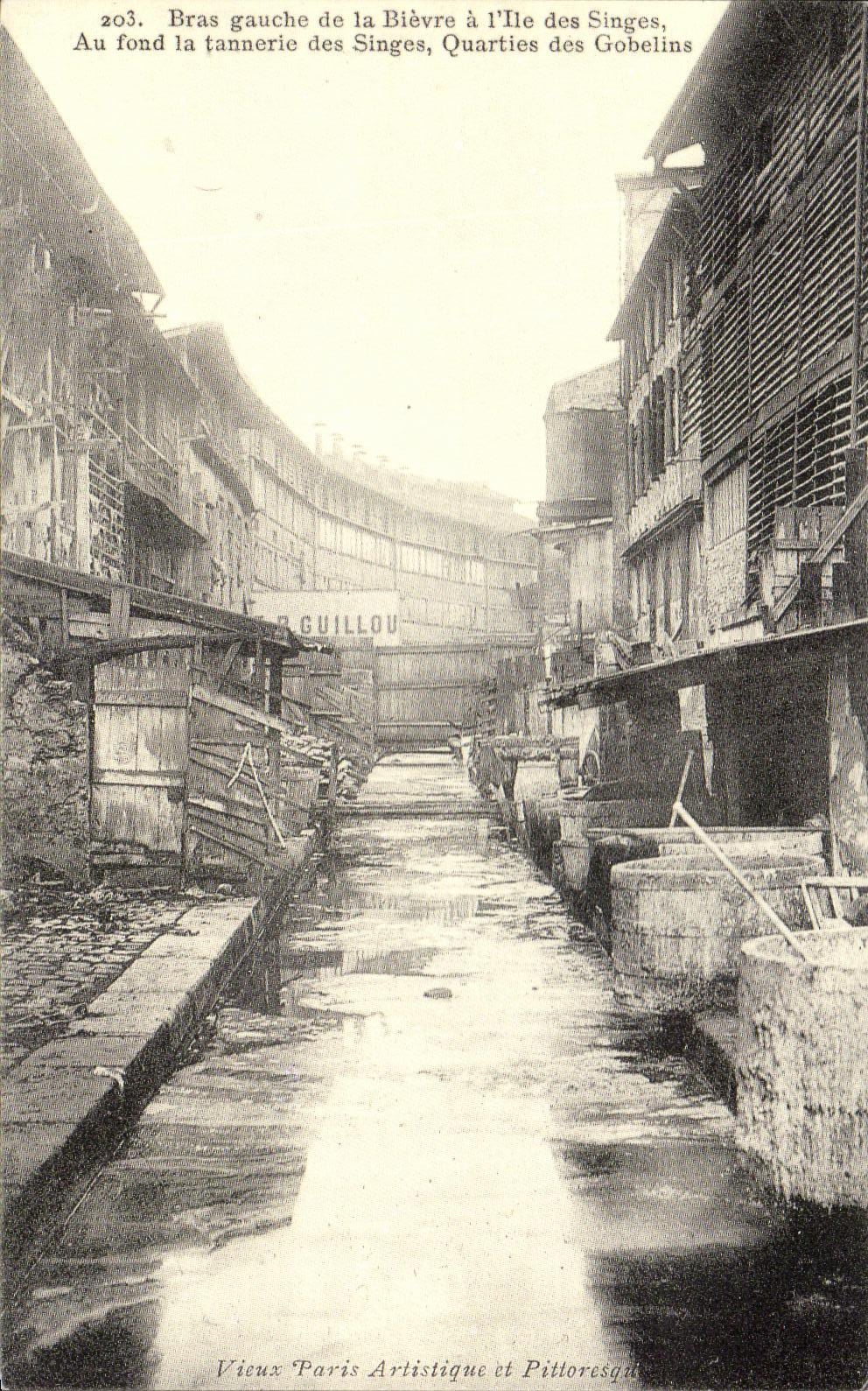 Left REPRO Arm Of Blevre In the Island Of the Monkeys In Fond La Tannery Of the Quarties Monkeys Of the Paris Goblins