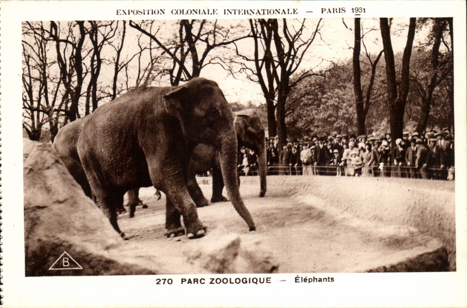 International CPA Expostion Colonial Paris Zoological gardens Elephants