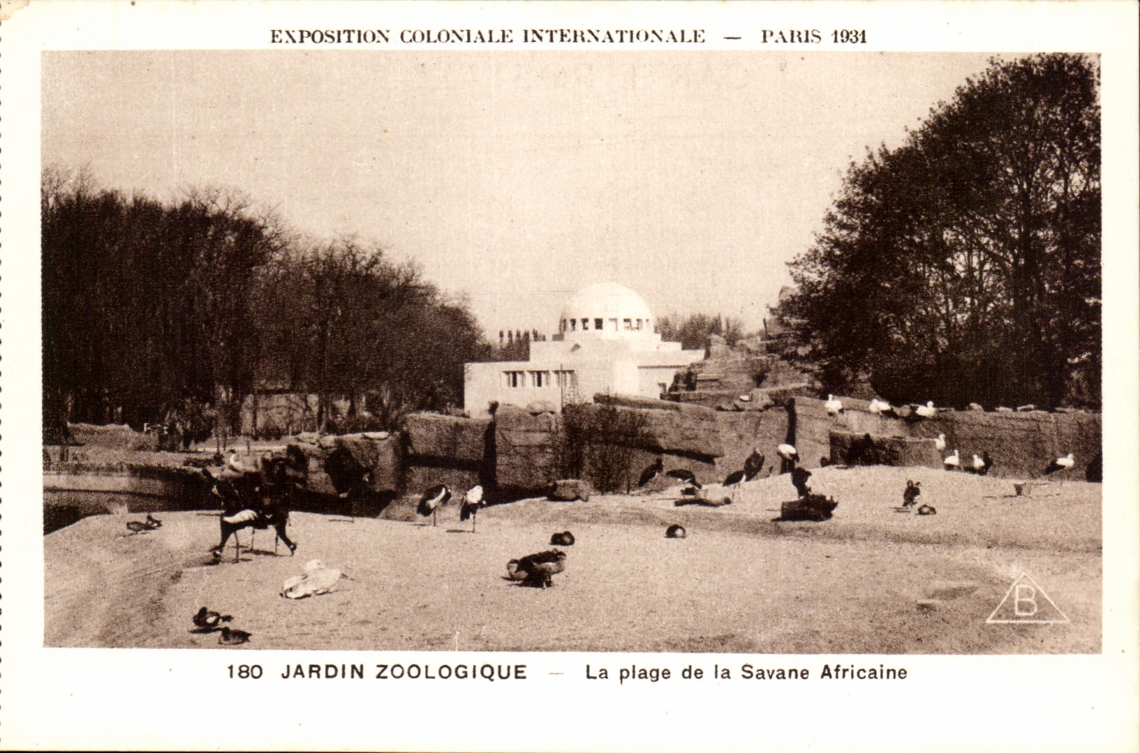 International CPA Expostion Colonial Paris Zoological garden the Beach of Africane Savanna