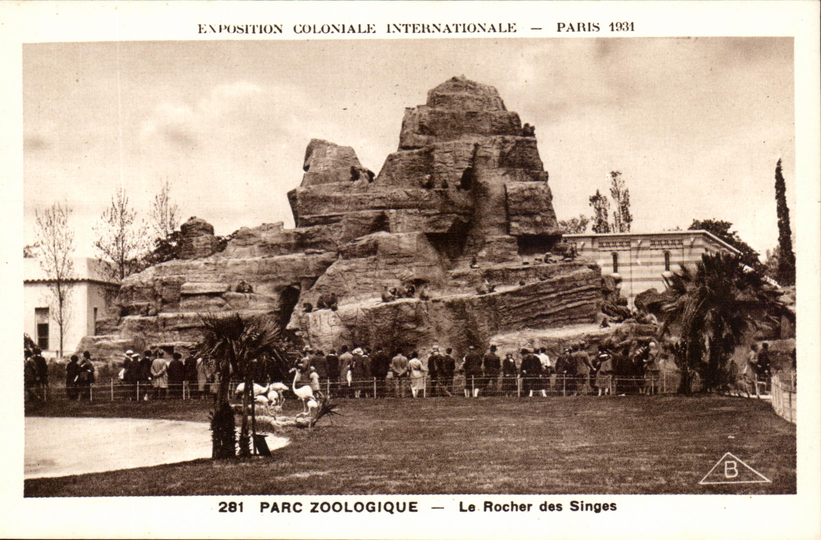 International CPA Expostion Colonial Paris Zoological gardens the Rock of the Monkeys