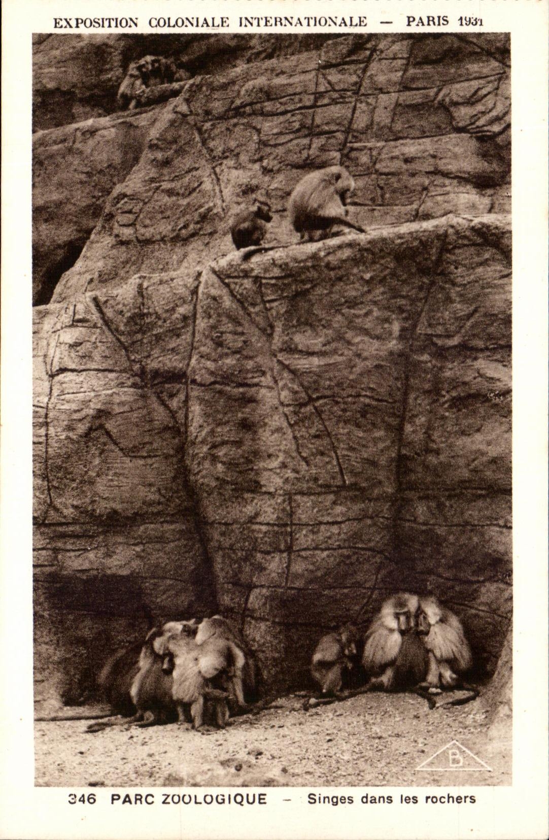 International CPA Expostion Colonial Paris Zoological gardens Monkeys in the Rocks