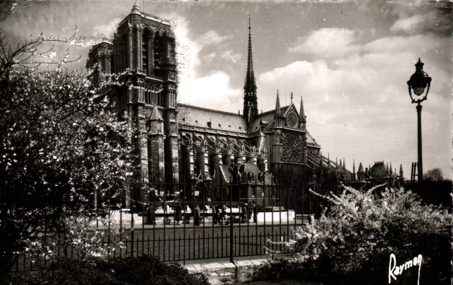 Imagenes de CPA de las apuestas de Notre Dame