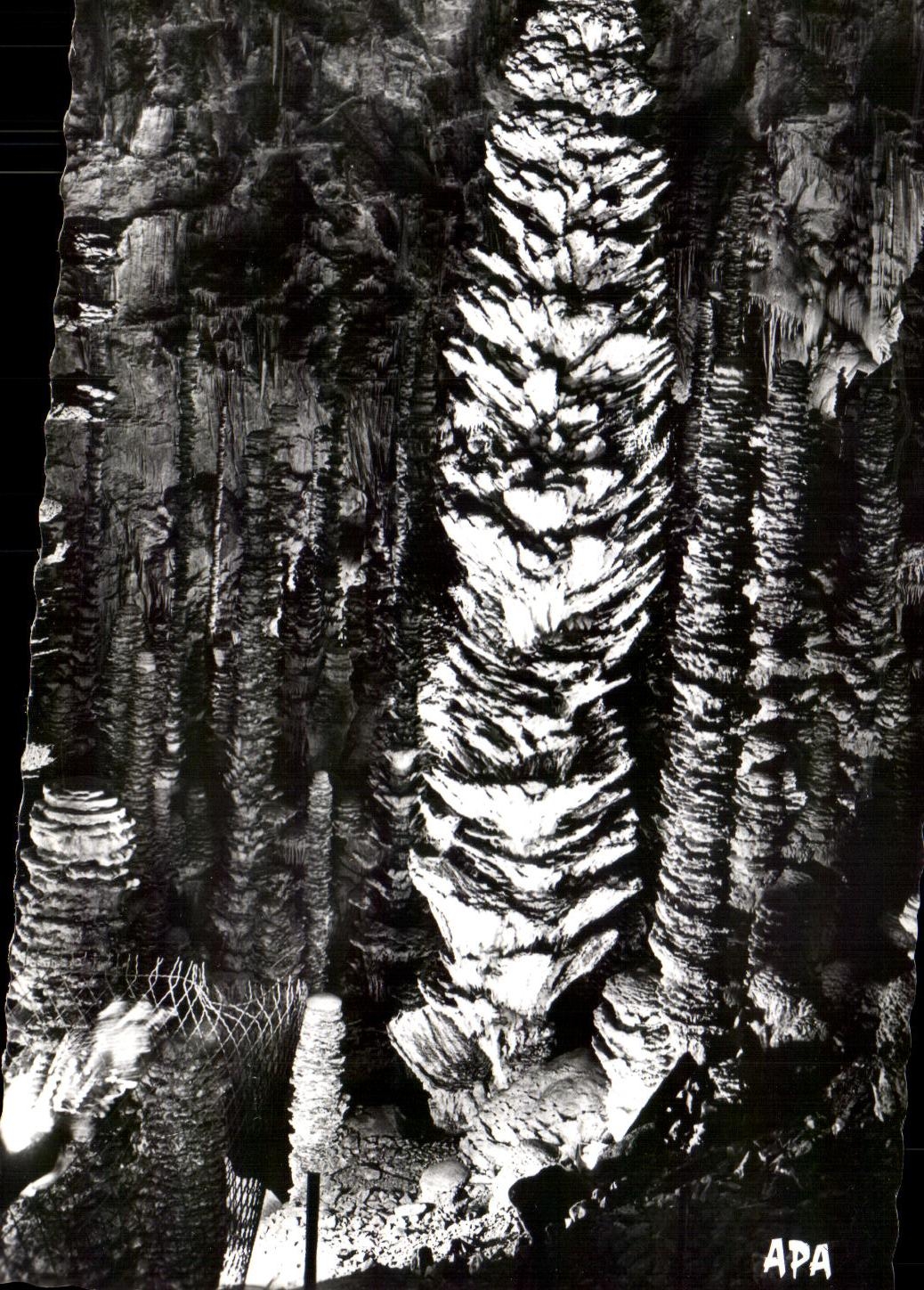 CPA By Traversing the Falls Of the Tarn the Swallow-hole Armand the Palm tree