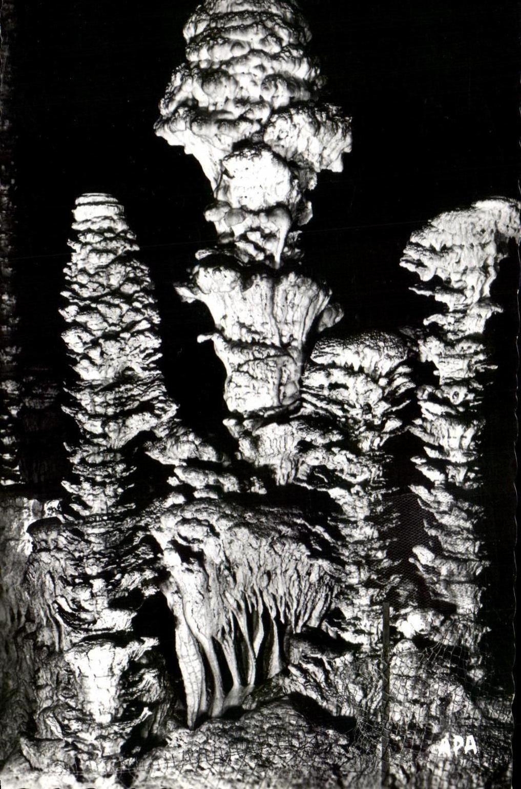 CPA By Traversing the Falls Of the Tarn the Swallow-hole Armand the cabbages flowers