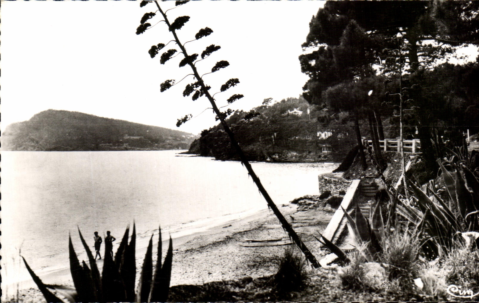 CPSM Le Canadel En Face Le Cap Negre