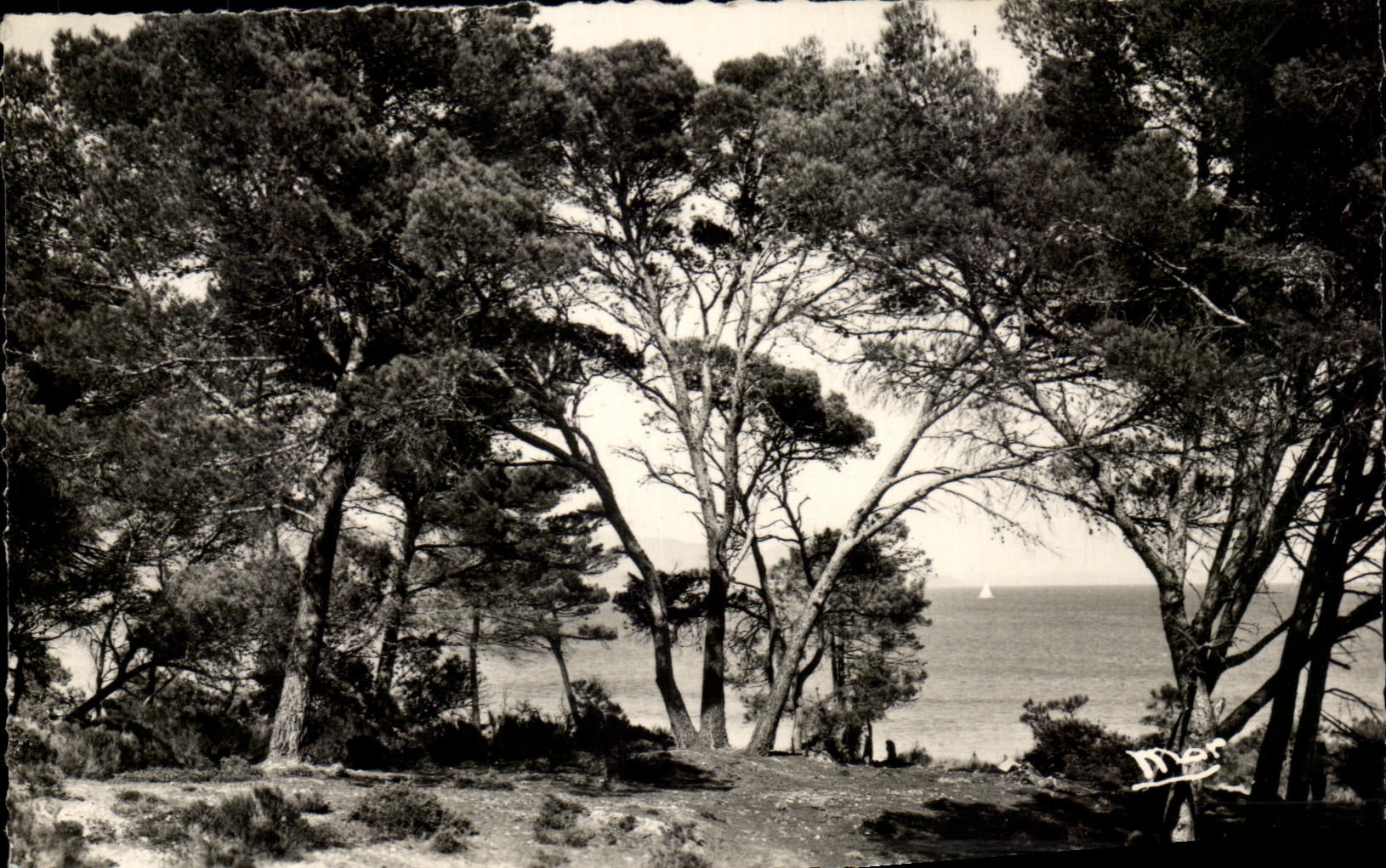 CPSM Le Lavandou Plage De La Faviere