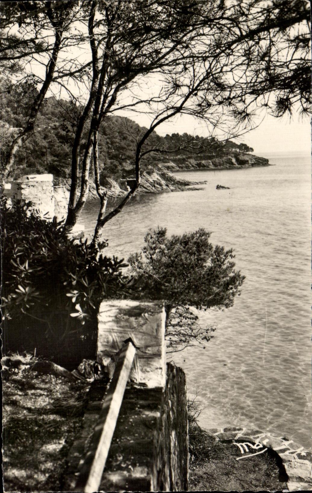 CPSM Du Lavandou Le Royal